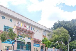 Ngộp Khu Tô Hiệu - 100m2 - HXH - Đất Tiện xây CHDV - Hiếm có
